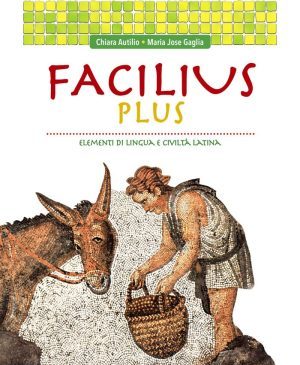 FACILIUS-PLUS